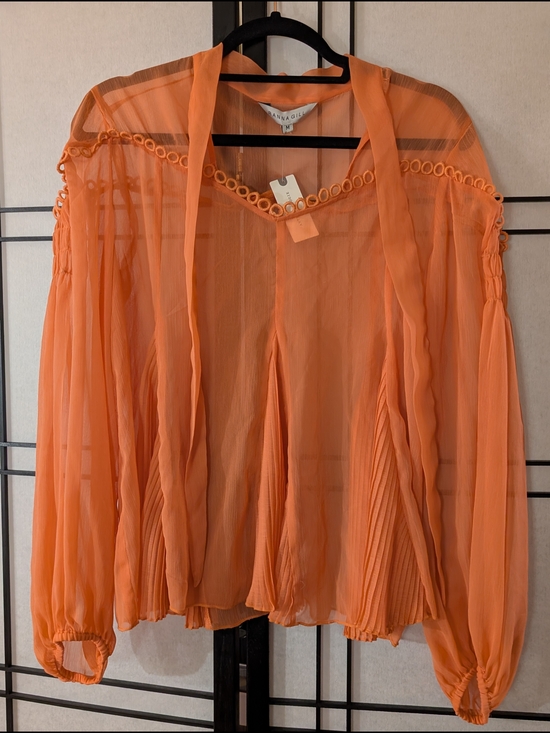 Anthropologie Tops - Ranna Gill Anthropologie Orange Sheer Pleated Blouse Top M NWT